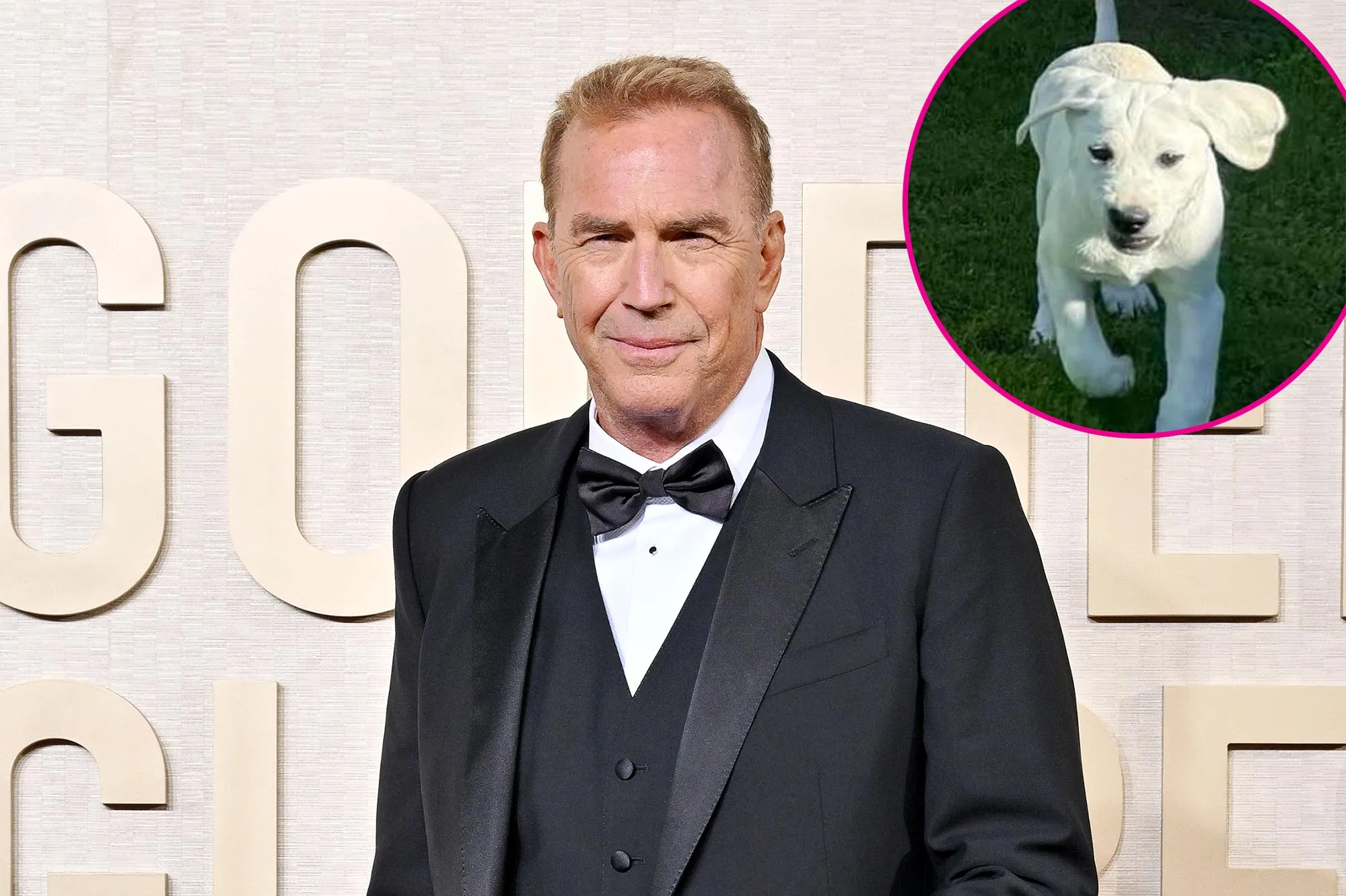 Kevin Costner Has a New Member of His Family a Puppy I m Already in Love With This Special GuyGettyImages-1917065161 371