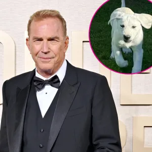 Kevin Costner Has a New Member of His Family a Puppy I m Already in Love With This Special GuyGettyImages-1917065161 371