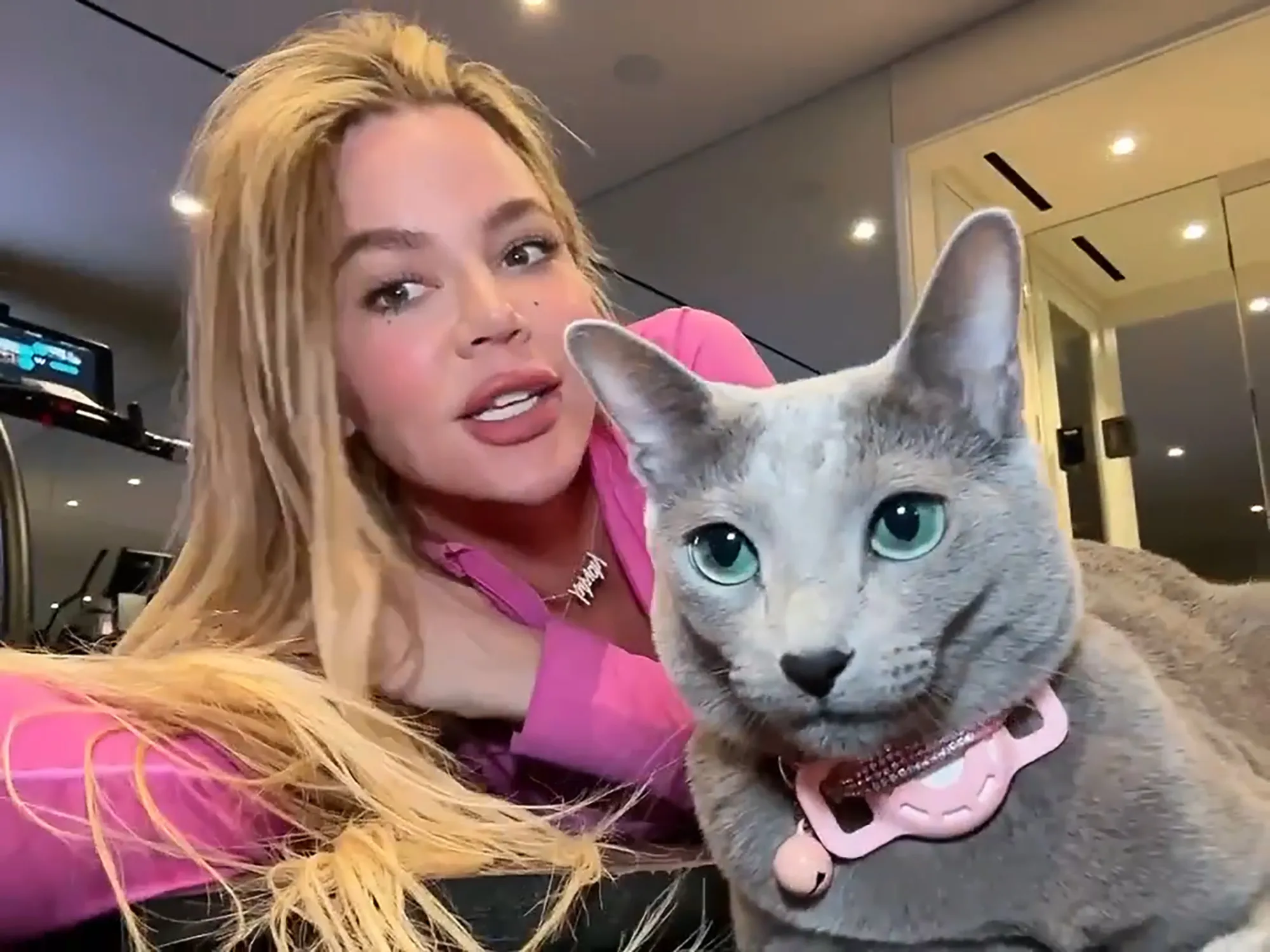 Khloe Kardashian Accused of Editing Cat Grey Kitty Face