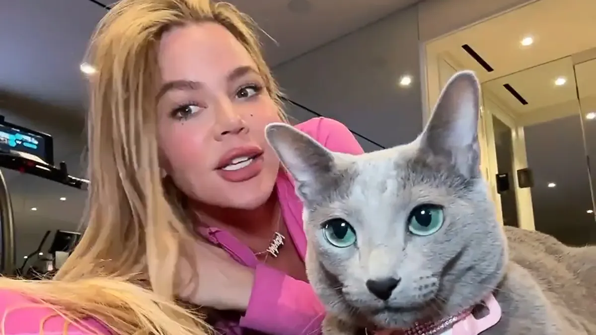 Khloe Kardashian Accused of Editing Cat Grey Kitty Face