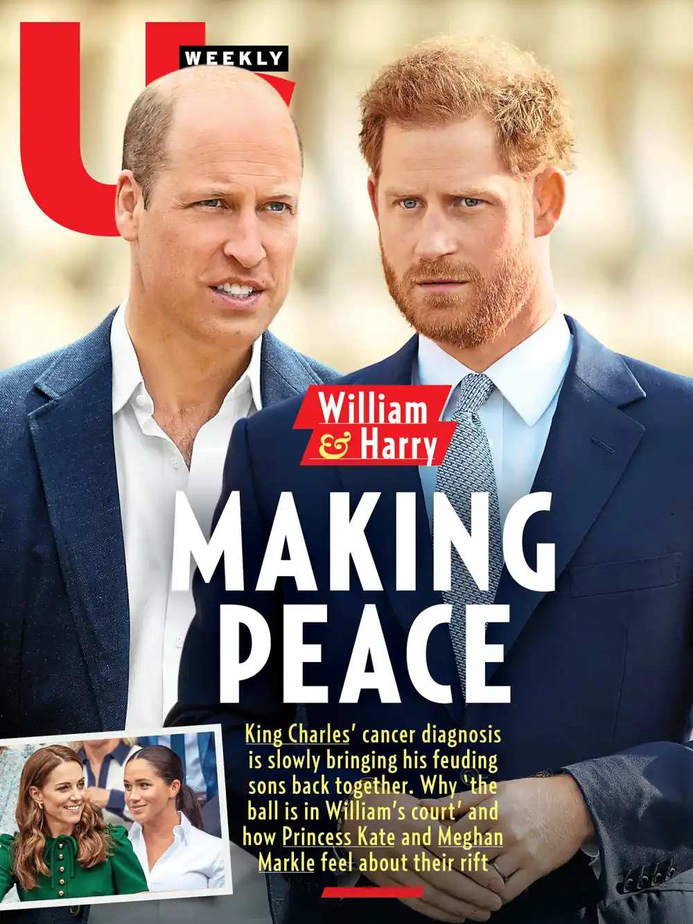 Prince William and Prince Harry Luxury Handbag Shopping 2409 Cover