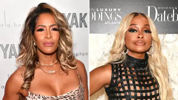 Sheree Whitfield Claims She Knew Phaedra Parks Was a Traitor