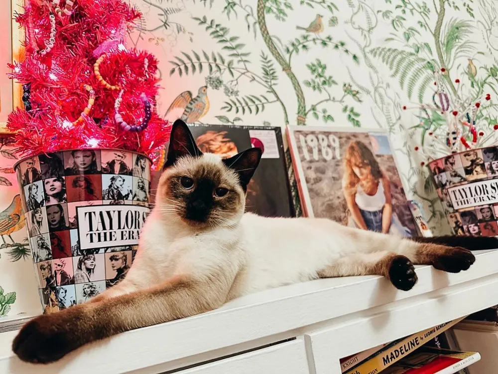 Taylor Swift and Mariska Hargitay s Friendship Timeline From Cat Names to Concert Hangs and More 933