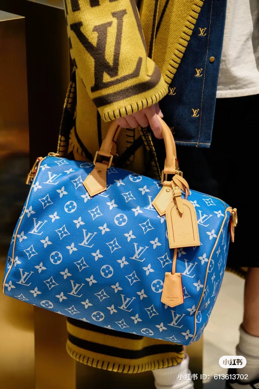 louis vuitton speedy p9