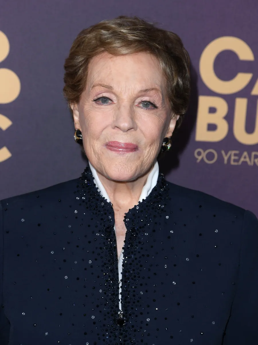 Julie Andrews Thinks Princess Diaries 3 Talks Were Shelved for Now