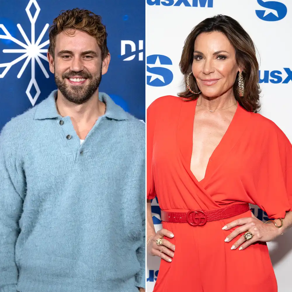 Nick Viall Tells Luann de Lesseps She Was Flirty When They Met in 2014