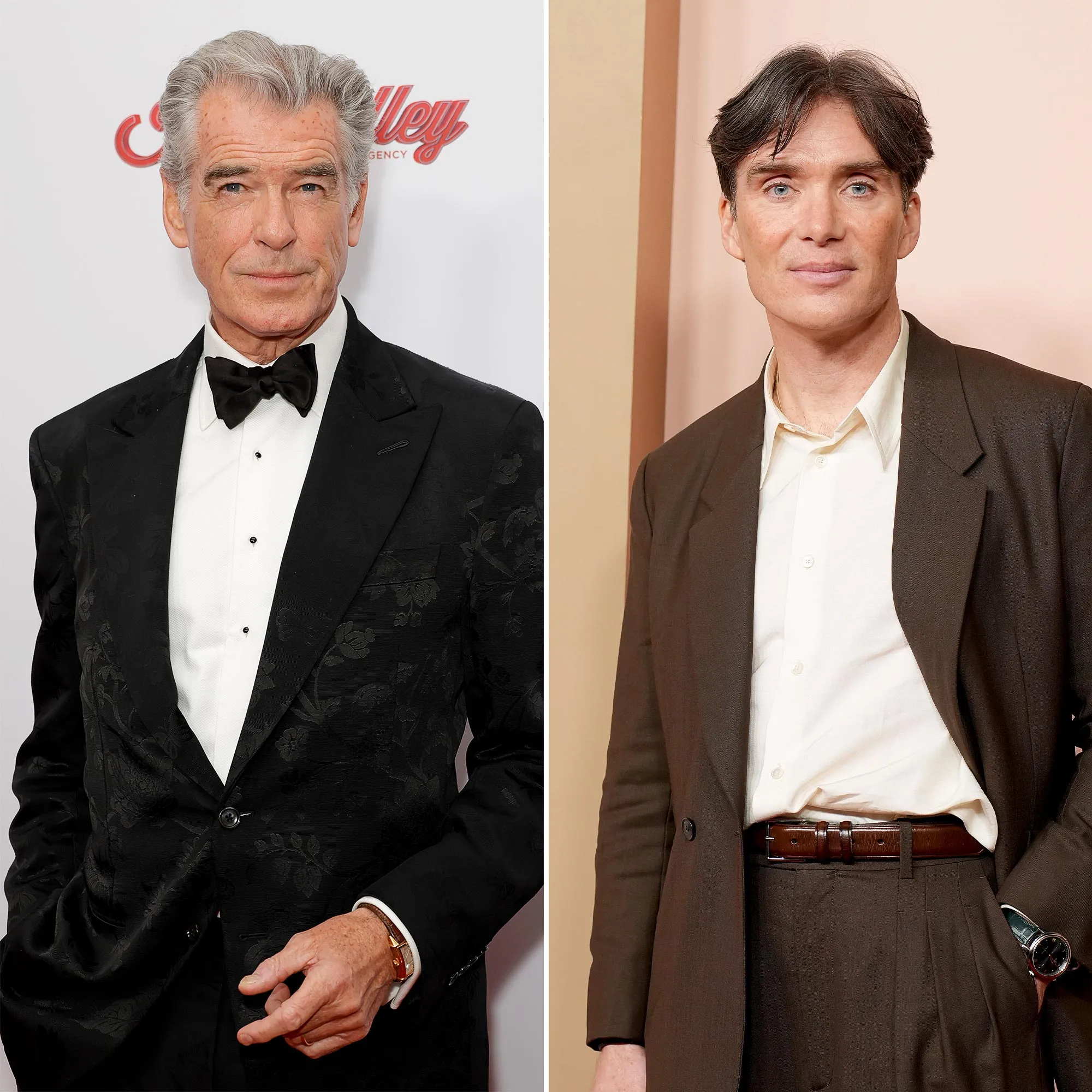 Pierce Brosnan Says Cillian Murphy Would Play a Magnificent James Bond 641
