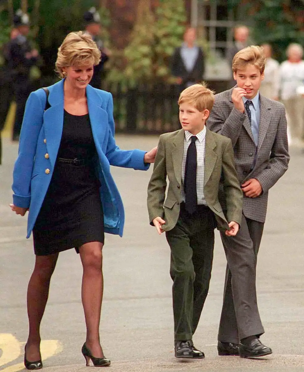 Prince William and Prince Harry Separately Honor Late Mother Princess Diana at Diana Legacy Awards