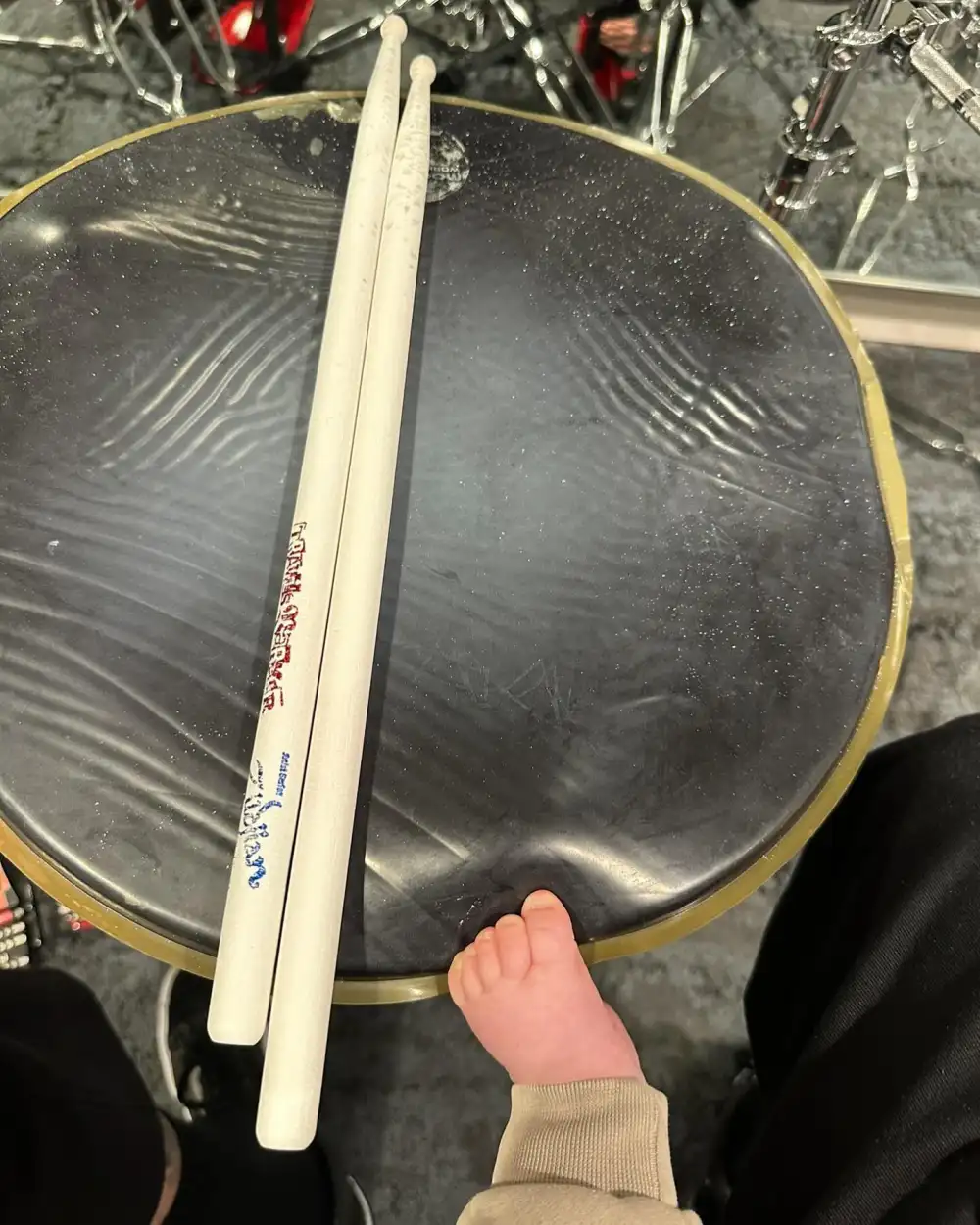 Rocky Makes Sweet Cameo in Travis Barker&rsquo;s Drum Kit Pic: &lsquo;Tour Was Over, We&rsquo;d Survived&rsquo;