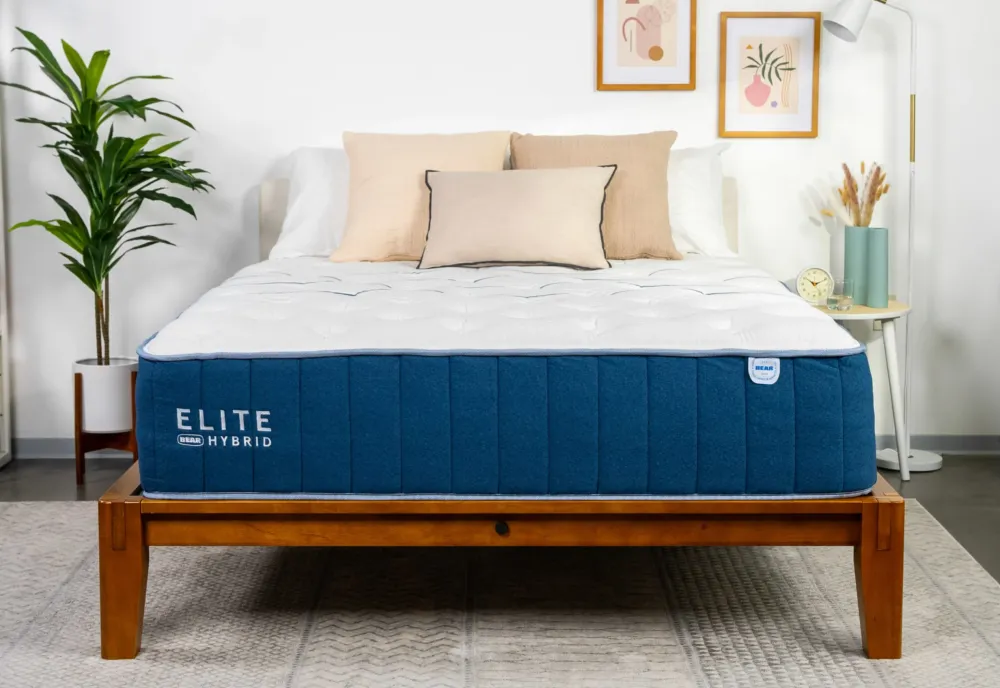 Bear Elite Hybrid Mattress