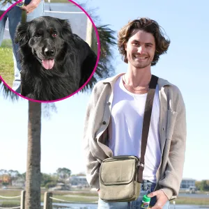 See Chase Stokes and More Hollywood Heartthrobs Walking Their Dogs
