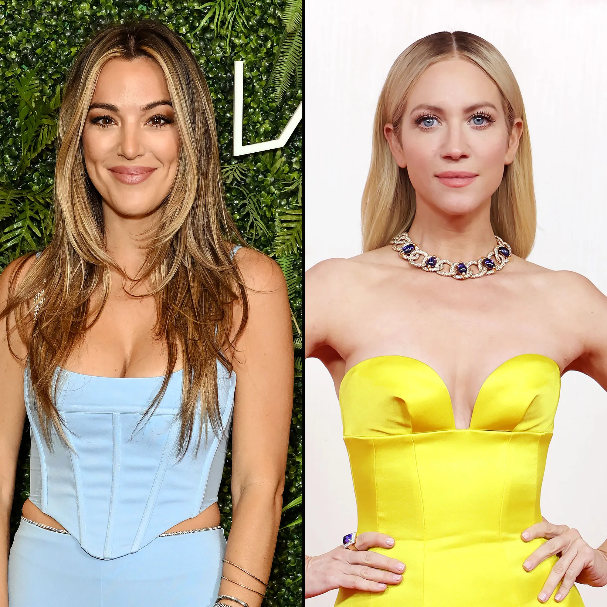 Selling the OC Alex Hall Seemingly Shades Brittany Snow