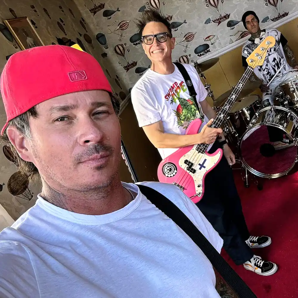 Blink-182's Tom DeLonge Fell to His Knees and &lsquo;Vomited&rsquo; During Paraguay Show Due to Heat Stroke