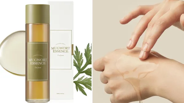 I'm From Mugwort Essence