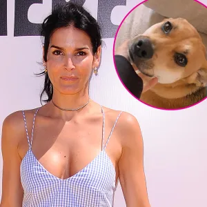 Angie Harmon Says Her Dog Was Killed by a Deliveryman Over Easter Weekend Beyond Devastated 932