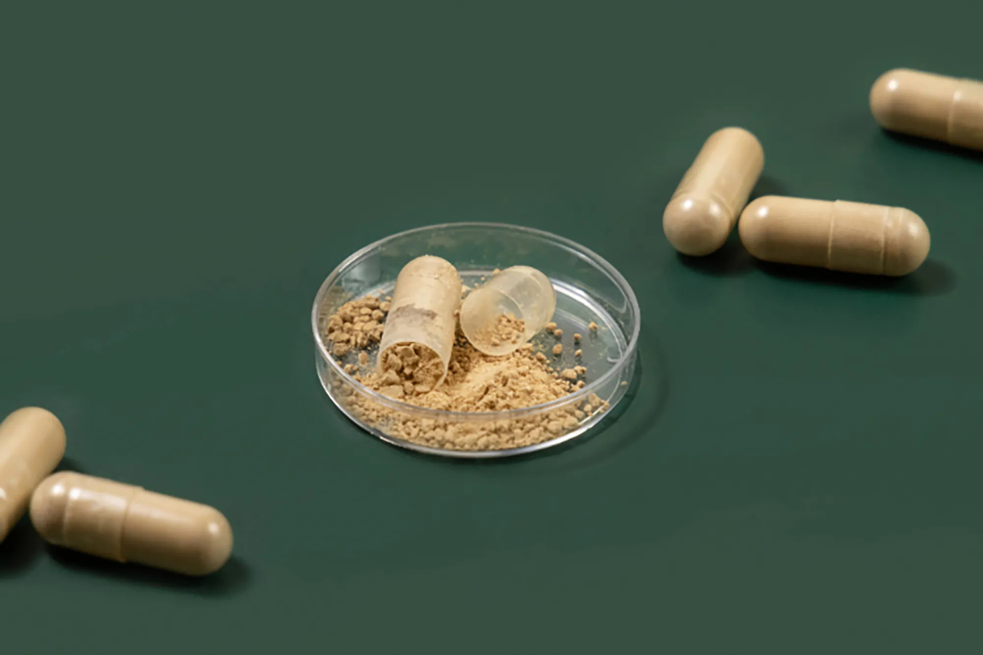 The Best Sea Moss Pills