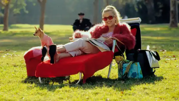 Feature A Guide to Every Legally Blonde Spinoff and Sequel