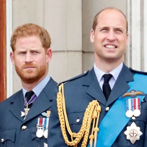 Prince Harry's bitter estrangement with his older brother Prince William could prove a major problem for the future king