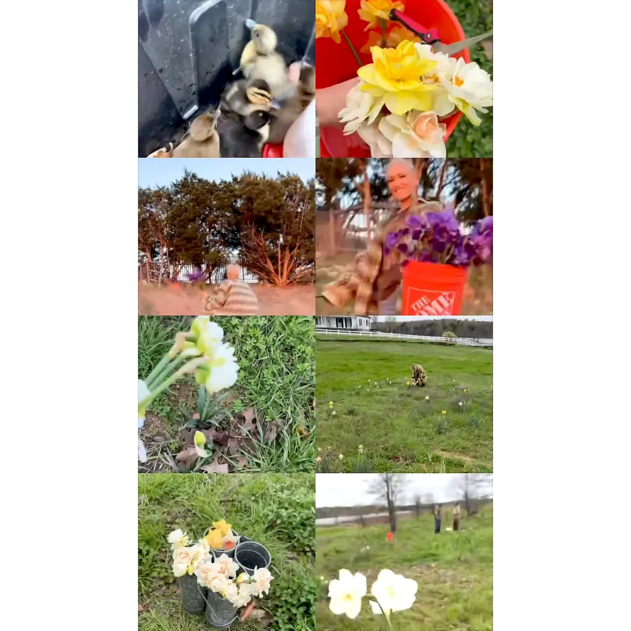 Inside the Stars Festive Easter 2024 Celebrations