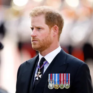 Prince Harry Wears Military Medals During Surprise Service Members of the Year Appearance