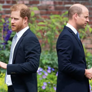 Prince Harry and Prince William Havent Had a Real Conversation in Months