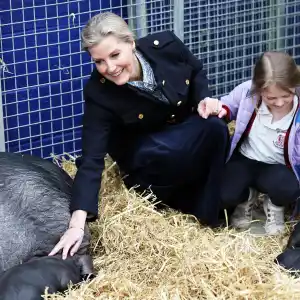Prince William Princess Kate and More Royals Who Have Met Animals Through the Years