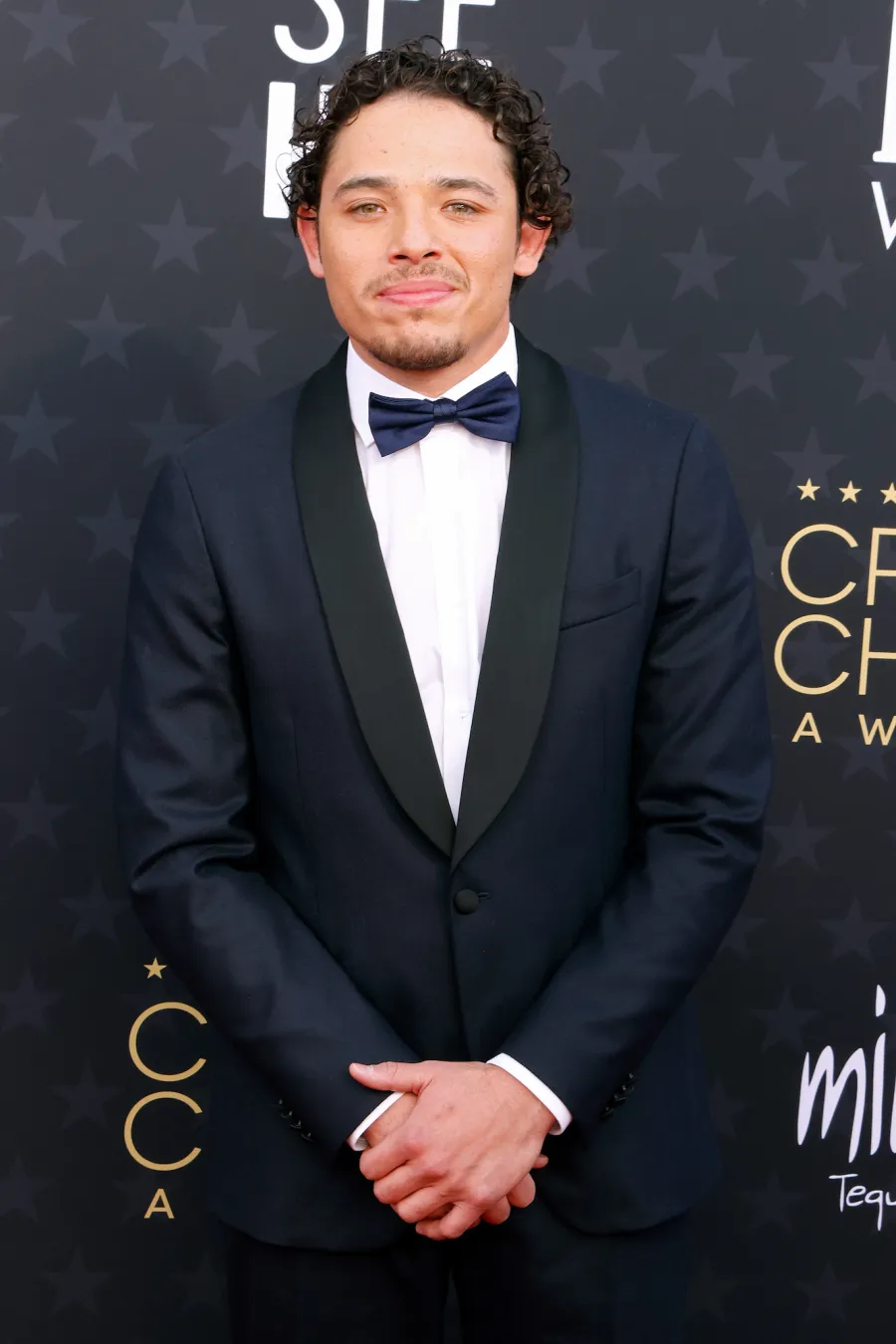 Stars Who Were Rejected by American Idol and The Voice