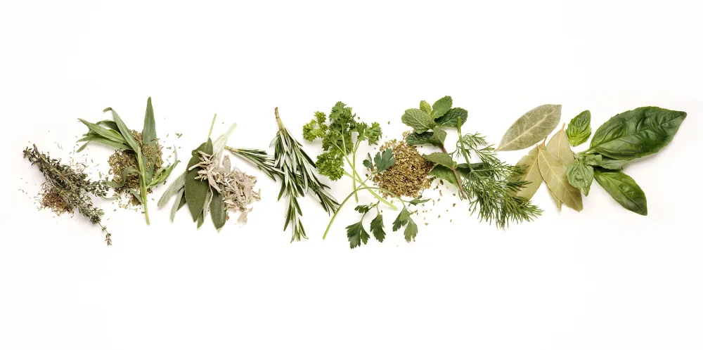 Tiffany Recalls Being Starstruck Meeting Michael Jackson After She Knocked &lsquo;Bad&rsquo; Out of No. 1 Spot