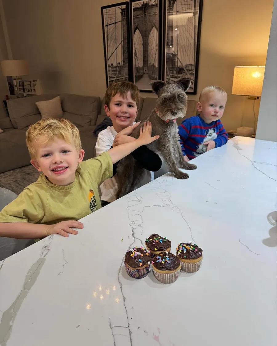 Today Host Dylan Dreyer s Family Album With Her 3 Sons and Husband 298