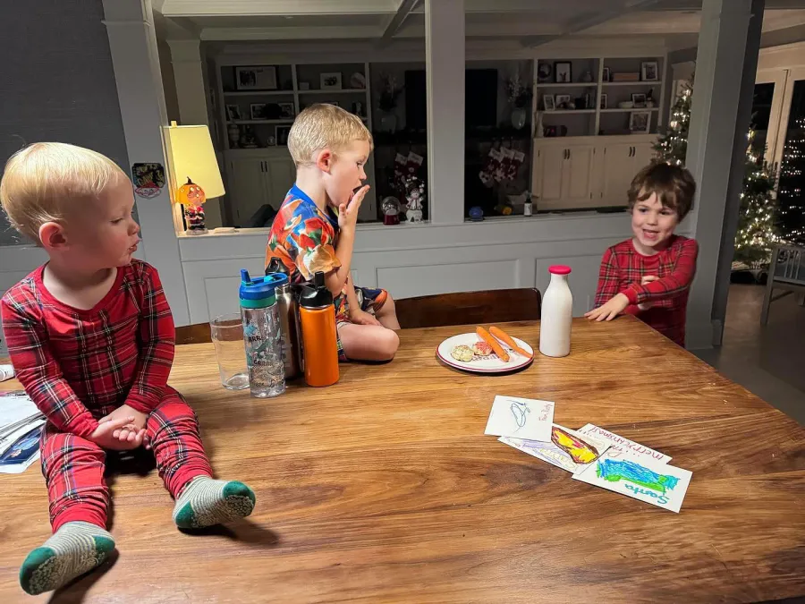 Today Host Dylan Dreyer s Family Album With Her 3 Sons and Husband 299