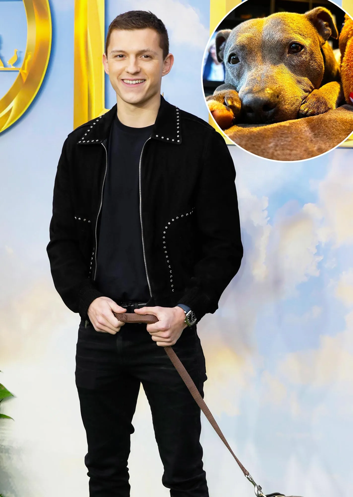 Tom Holland Mourns Death of Family Dog Tessa