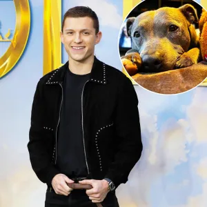 Tom Holland Mourns Death of Family Dog Tessa