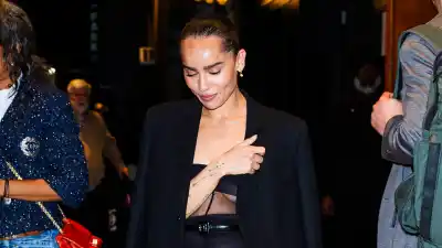 Zoe Kravitz Stuns in Sexy Sheer Design at the KitKat Club