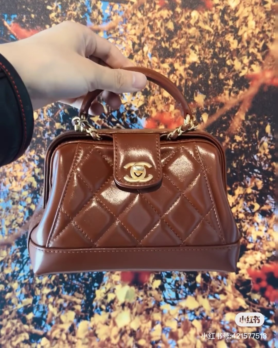 Chanel 2023/24 Métiers d’Art (24A) Bags Have Arrived