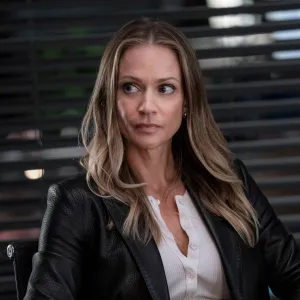 A J Cook Says Appearing on Criminal Minds Helped Her ID Actual Pedophile