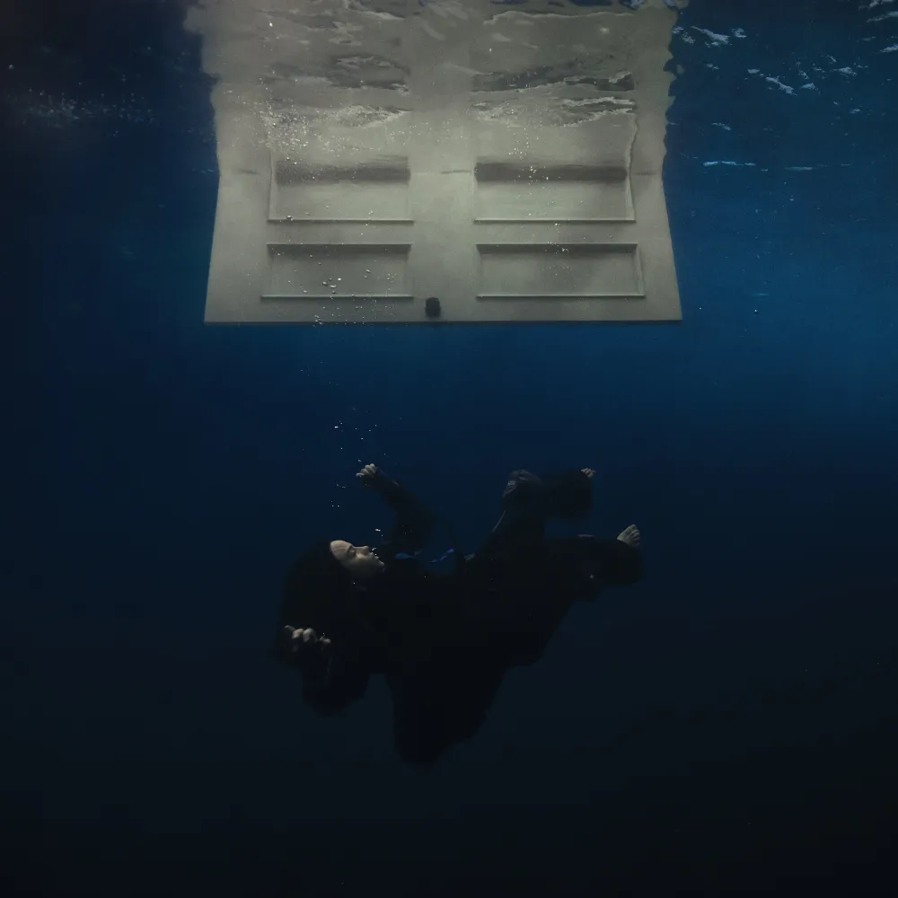 Billie Eilish Hit Me Hard and Soft Cover