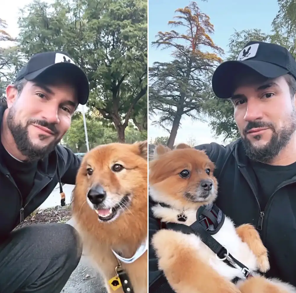 Bryan Abasolo Walks Rachel Lindsay&rsquo;s Dogs After Claiming Living Arrangement Is &lsquo;Strained&rsquo;