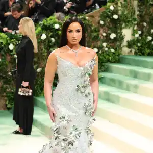 Demi Lovato Attends 2024 Met Gala After Slamming the Event 6 Years Ago 758