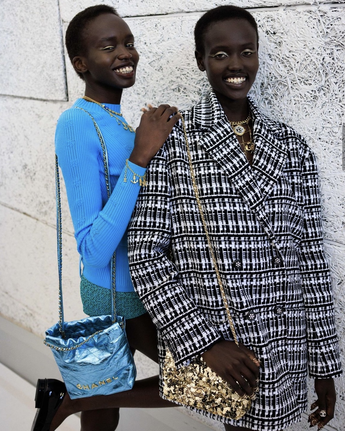 new chanel bags,new chanel bags for cruise 2024/25