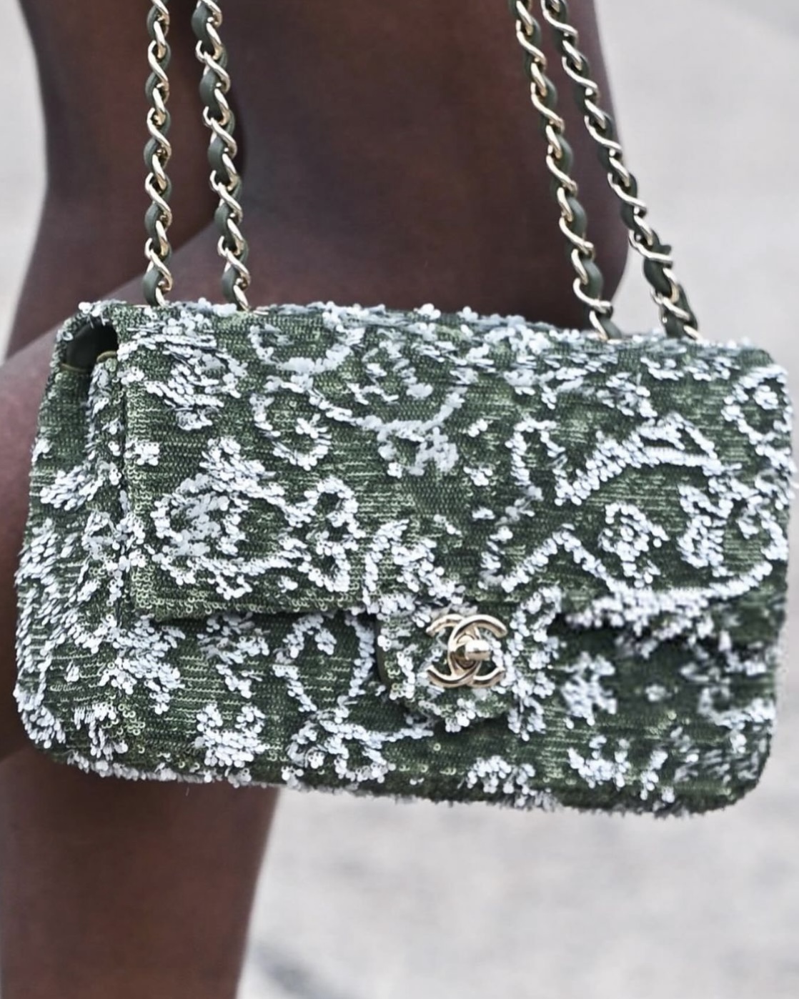 new chanel bags,new chanel bags for cruise 2024/25