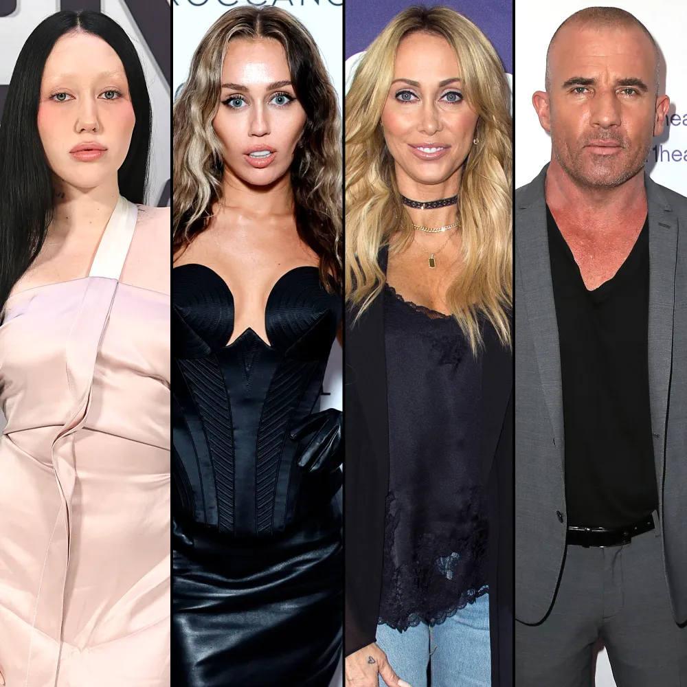Noah Cyrus &lsquo;Moving Forward&rsquo; from Drama with Miley Cyrus, Mom Tish and Ex Dominic Purcell: Source