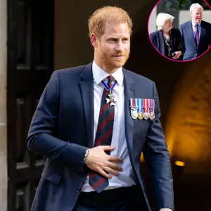 Promo Prince Harry Supported by Princess Diana Siblings at Invictus Event Lady Jane Fellowes and Earl Charles Spencer