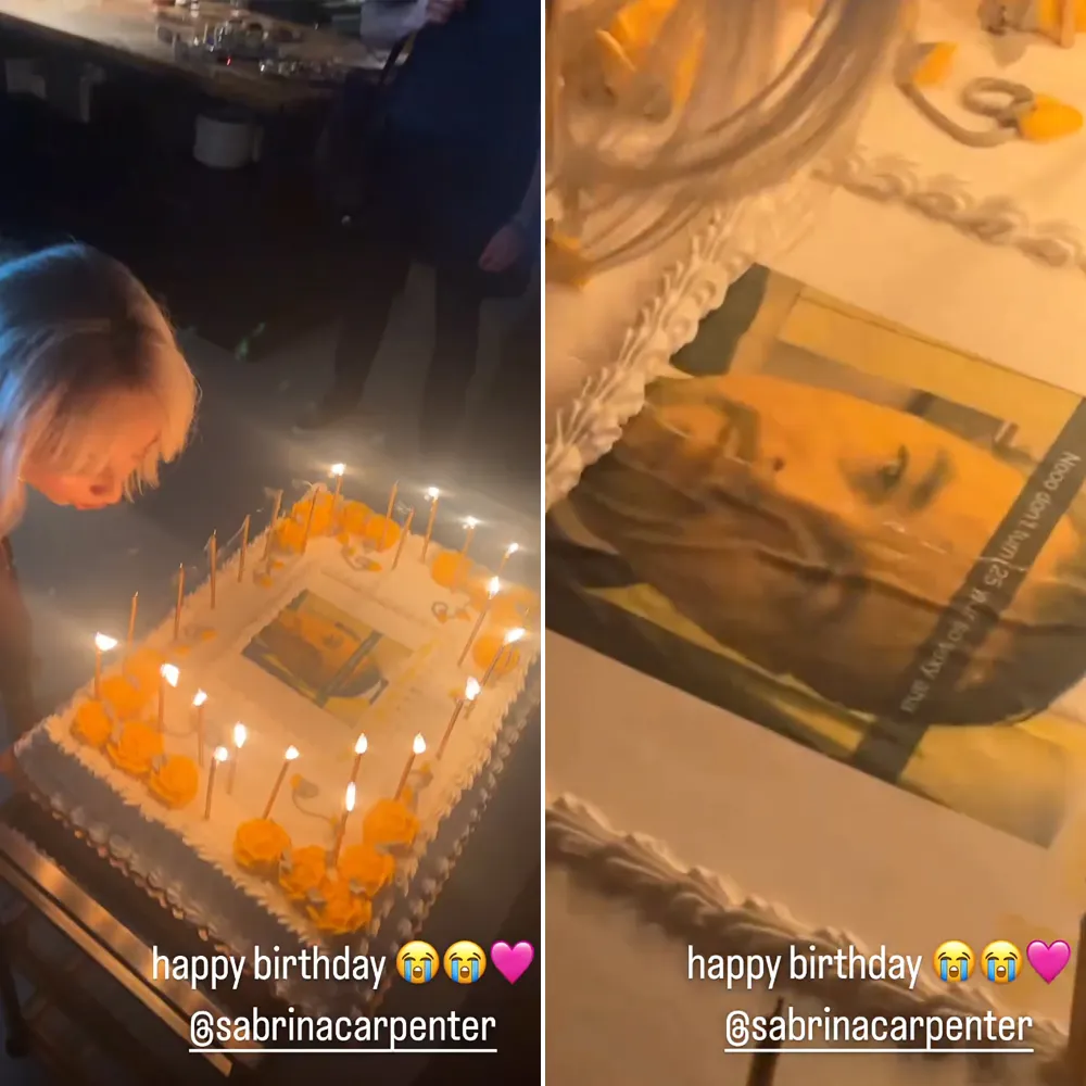 Sabrina Carpenter&rsquo;s 25th Birthday Cake Features a Leonardo DiCaprio Meme