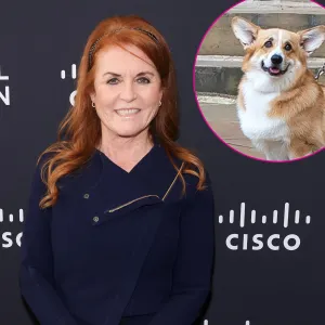 Sarah Ferguson Says Her and Queen Elizabeth II s Dogs Are Doing Very Well and All Get Along 521