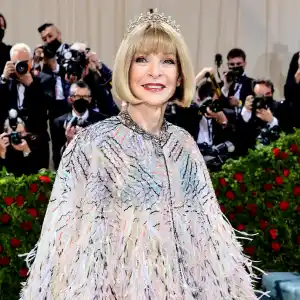 See Which Foods Anna Wintour Banned from the Met Gala
