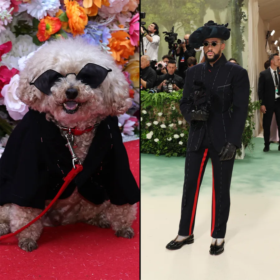 The Best Met Gala Recreations at the Pet Gala 328 Bad Bunny