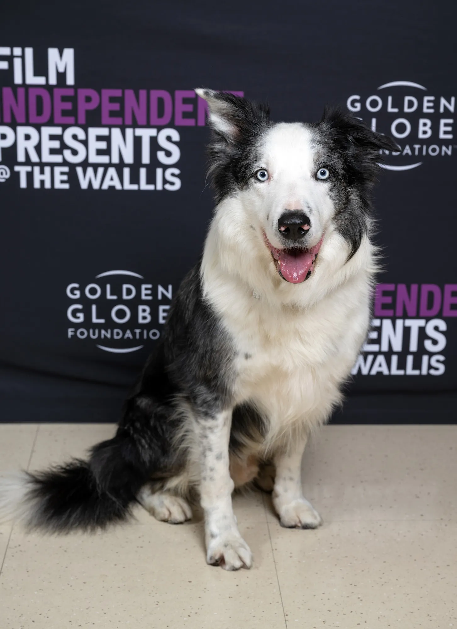 Who Else Luxury Handbag Shopping Thinks Should Be Cast in Wake Up Dead Man A Knives Out Mystery