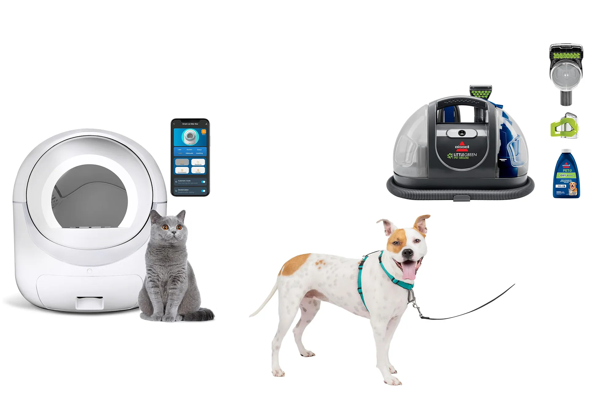 amazon early pet deals