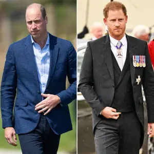 Royal Expert Suggests Timing of Prince Williams New Title Is a Tremendous Insult to Prince Harry