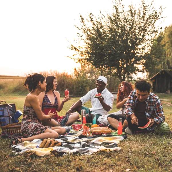 picnic